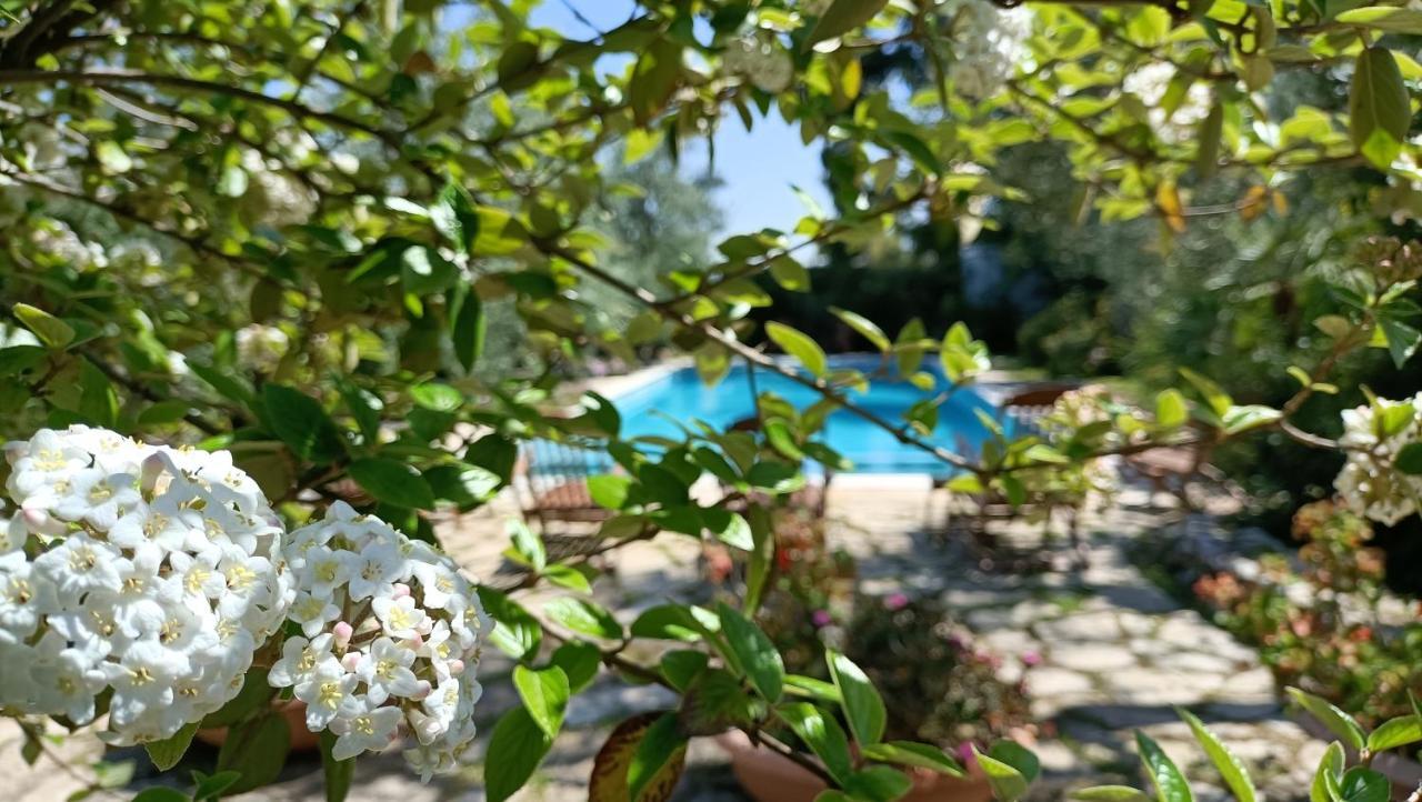 Agriturismo Le Vedute 比谢列 外观 照片