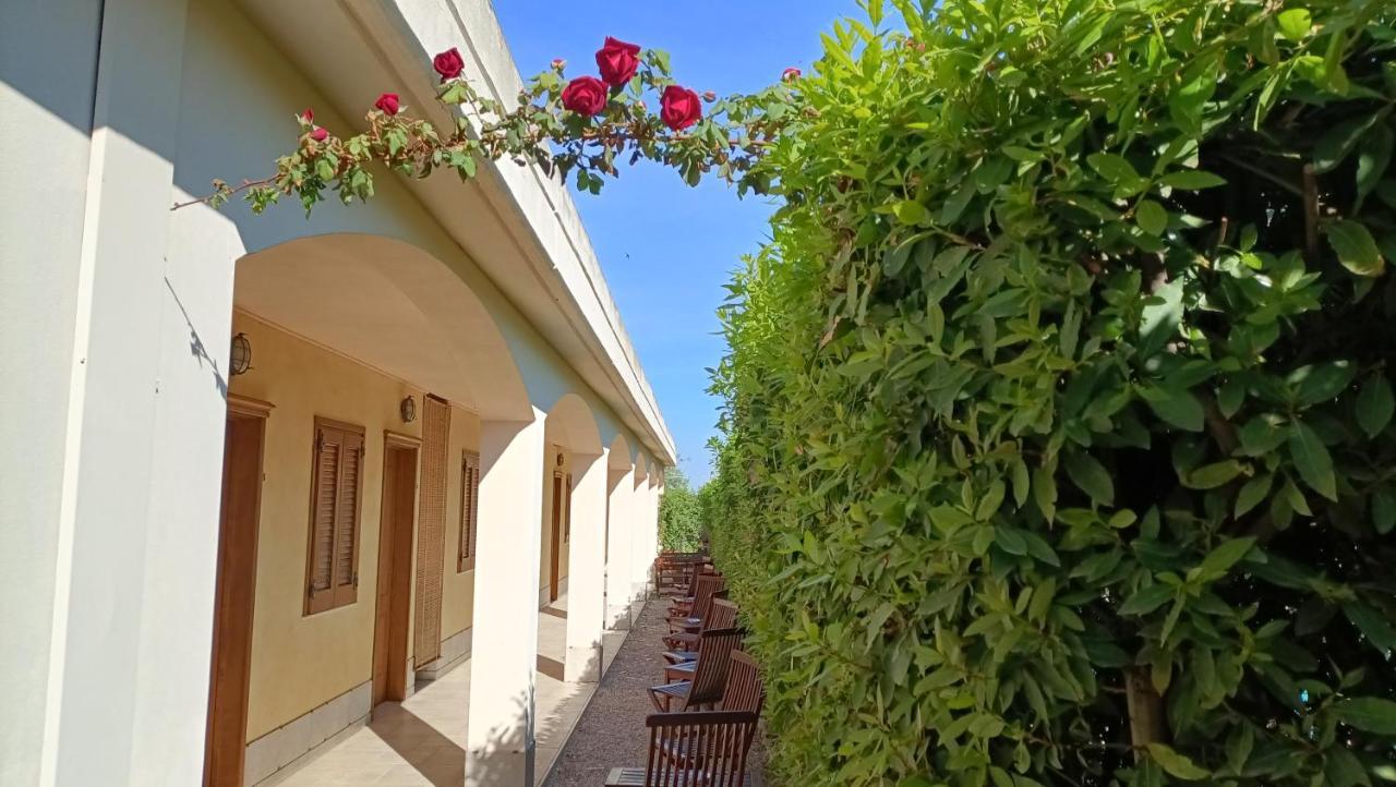 Agriturismo Le Vedute 比谢列 外观 照片