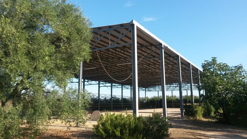 Agriturismo Le Vedute 比谢列 外观 照片