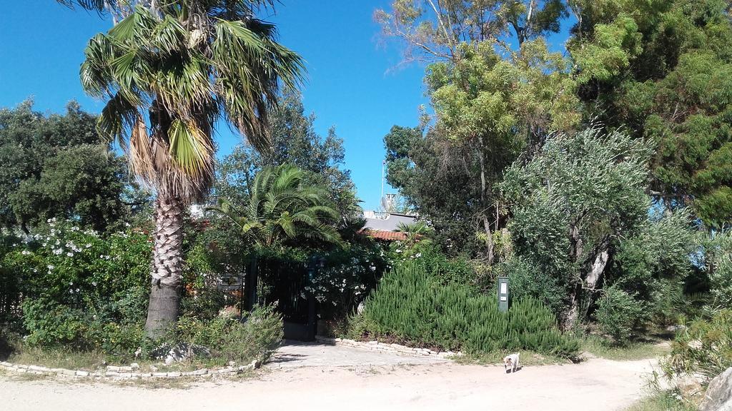 Agriturismo Le Vedute 比谢列 外观 照片