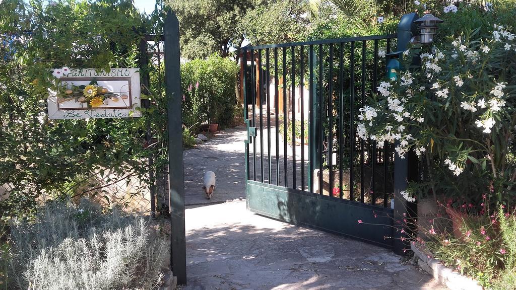 Agriturismo Le Vedute 比谢列 外观 照片