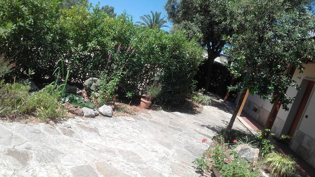 Agriturismo Le Vedute 比谢列 外观 照片